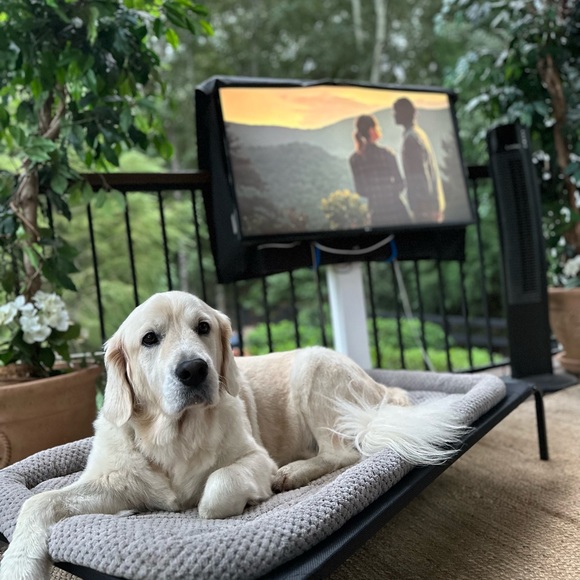 Meet your Posher, Lisa - Picture 3 of 3